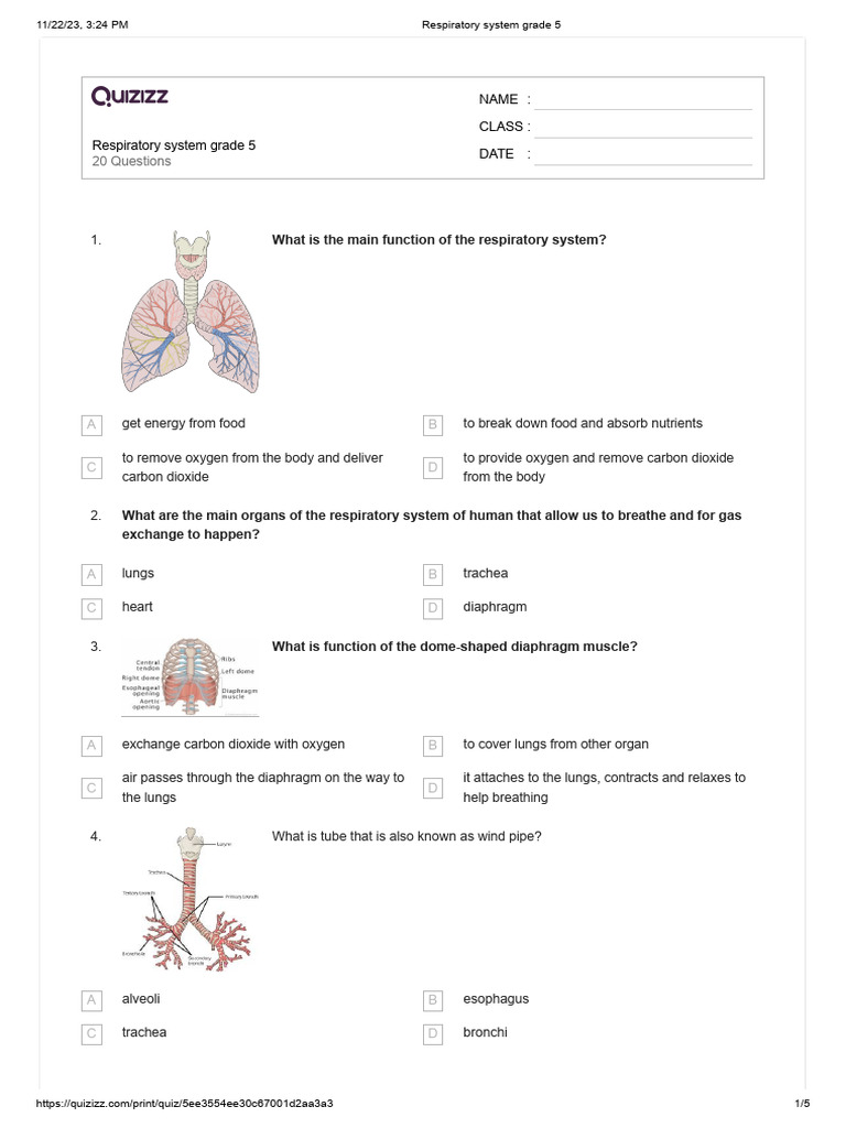 Respiratory system intelligence overview