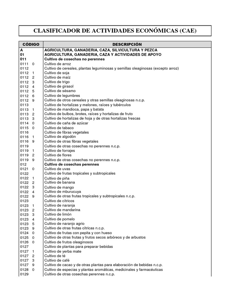 Ciuu Clasificador de Actividades Económicas | PDF | Cultivos | Agricultura