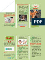 Leaflet PDK