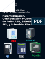 Greener - Programa Integral en Parametrización, Configuración y Operación de Relés ABB, SIEMENS, GE, SEL, y Schneider Electric