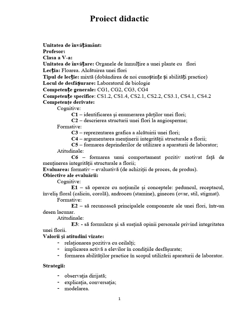 11 Proiect Didactic 1 | PDF