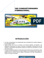5.-El Derecho Consuetudinario Inter-2023.