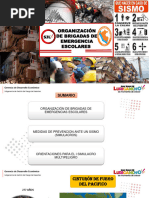 Funciones de Brigadas Escolares | PDF | Primeros auxilios | Salón de clases