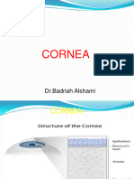 Cornea and Refraction, DR - Badriah