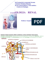 Fisiologia Renal 2