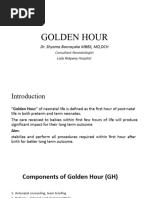 Golden Hour Final Handout