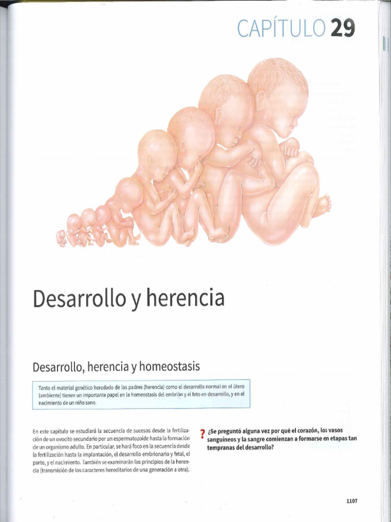 Anatomia Tortora 15 Ed Pdf