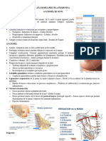 Anatomía de Mama y Genitales