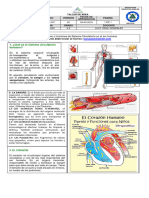 Taller N°3 Cien Nat Grado 3 3