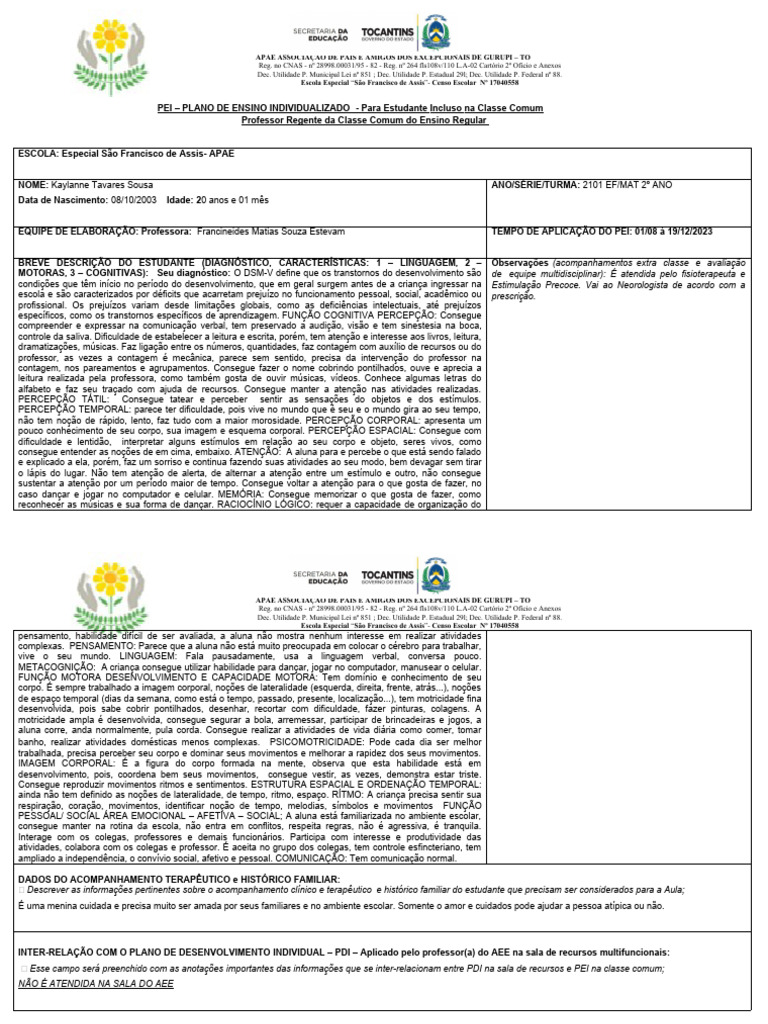 PEI - Plano de Ensino Individualizado - Kaylanne | PDF | Percepção | Tempo