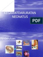 Kegawatan Neonatus Asfiksia