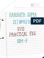 Evs File