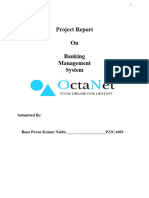 Pavan Project Report