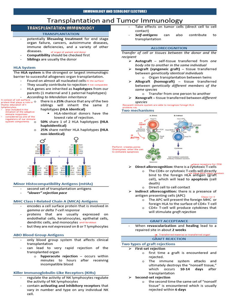 Transplantation Immunology Overview | PDF | Transplant Rejection ...