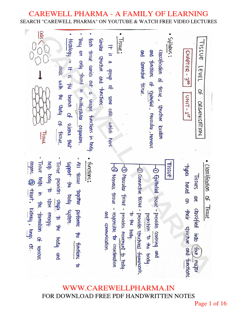 Chapter 3 Unit 1 Human Anatomy And Physiology 1 B Pharmacy 1st Sem