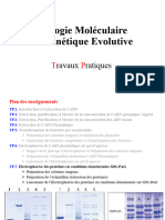 TP 6 - Electrophorèse Des Protéines en Conditions Dénaturantes SDS-PAGE