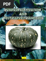 Download Pumpkin by Mahmudul Hasan Shuvo SN69063613 doc pdf
