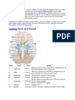 sistem saraf kranial