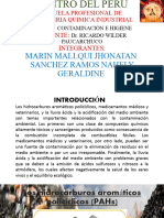 Informde de Toxicidad - Grupo 3 - Contaminación e H.I.