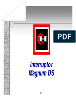 9-Magnum DS