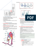 RCP NEONATAL-RESUMEN