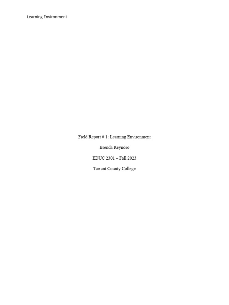 field-report-1-vwes-pdf