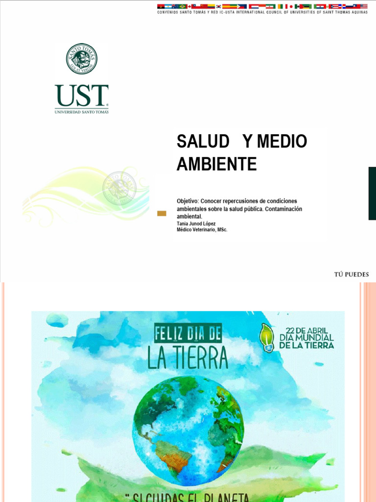 Salud Y Medio Ambiente | PDF | Contaminación | Entorno natural