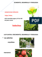 Sesión 04 - Las Plantas - Crecimiento Desarrollo y Fenologia