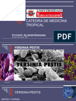 Sem 10 - Peste y Rickettsiosis