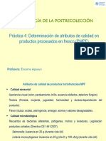 P4Atributos de Calidad PMPF Documentacion Apoyo