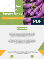 Pembibitan Tanaman Terong Ungu PTBT