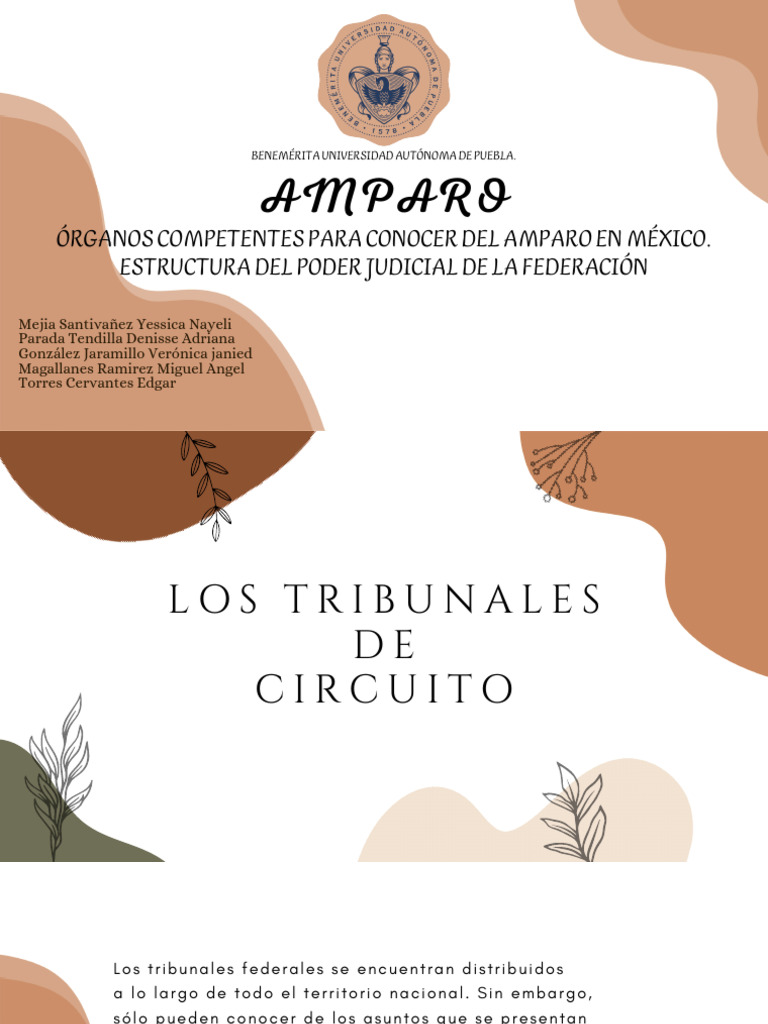 Amparo pdf judicaturas formas de gobierno