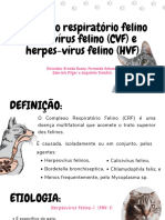 Complexo Respiratório Felino - 20231019 - 123619 - 0000