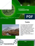 Green Modern Ecology Ecosystem Presentation