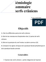 Sémio Ners Craniens