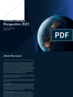 Global Energy Perspective 2023