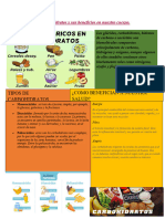 Los Carbohidratos y Sus Beneficios en Nuestro Cuerpo