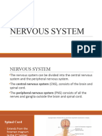 Nervous 2