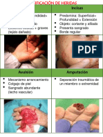 Clasificación de heridas