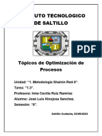 Instituto Tecnologico de Saltillo: Tópicos de Optimización de Procesos