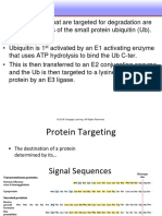 Translation Protein Targeting and Degradation Part III