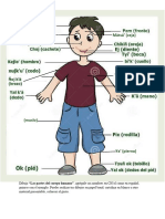 Partes Del Cuerpo Humano