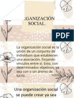 Organización Social