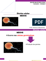 UNIDADE I - Divisão Celular - MEIOSE - 21NOV
