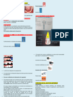 Rehabilitación Post-Tratamiento Pulpar: Poste Biológico