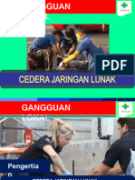 05 GL - Cedera Jaringan Lunak