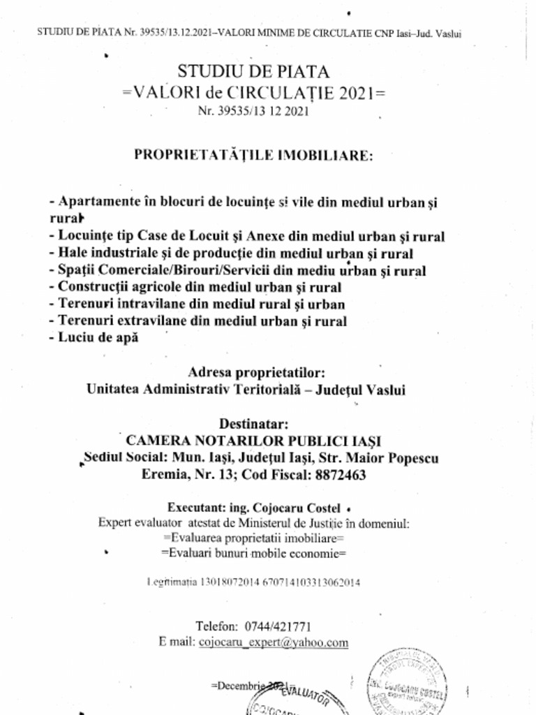 Studiu de Piata Vaslui 2022 PDF