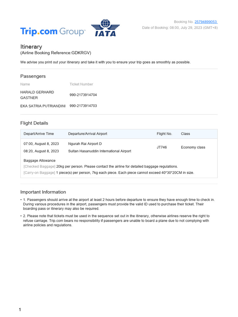 Flight Itinerary for Travelers | PDF