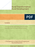 Agricultural Transformation and Rural Development