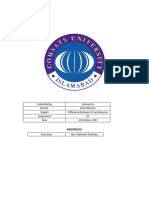 FE Assignment (FA23-bse-011)